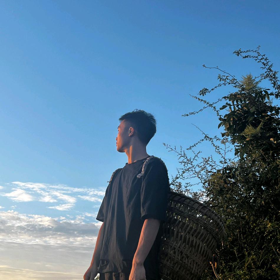 乡村小飞
