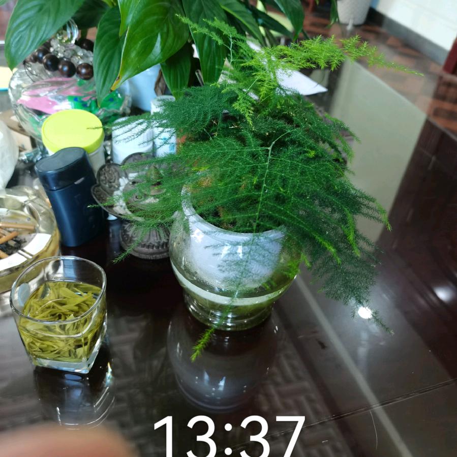 陈哥