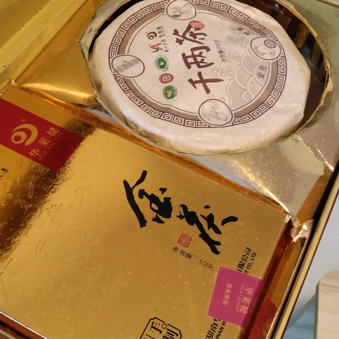 森森歌