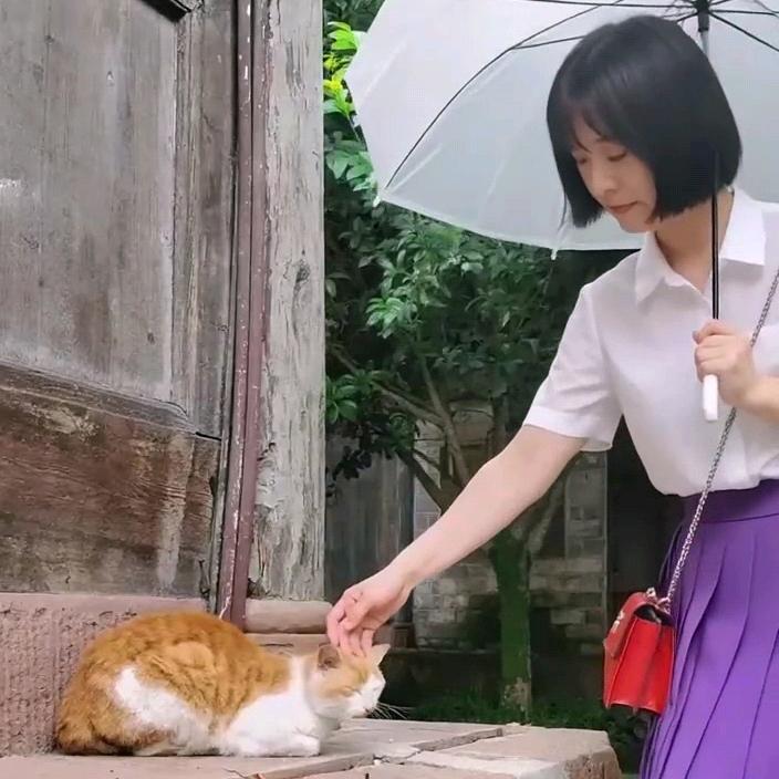 甲壳虫虫