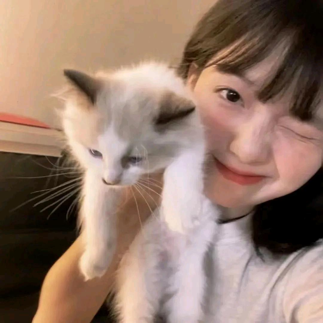 小🐑大王ovo