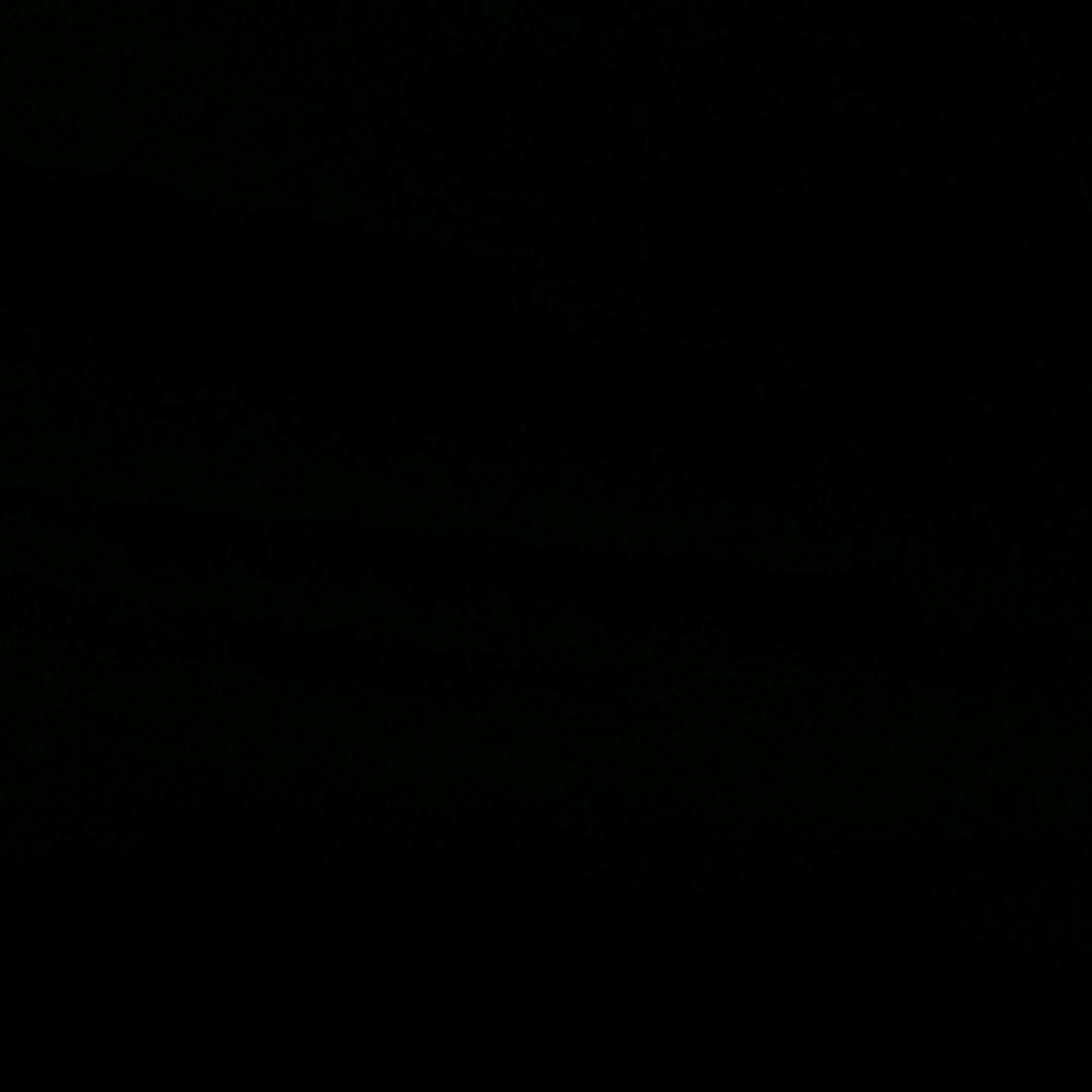 王八之气