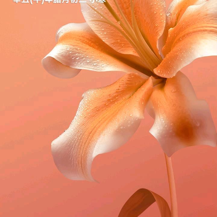 🌹开心