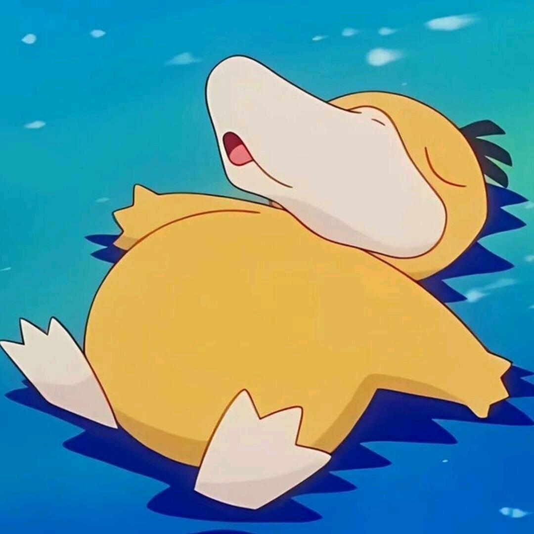 柠檬味的猪刚鬣