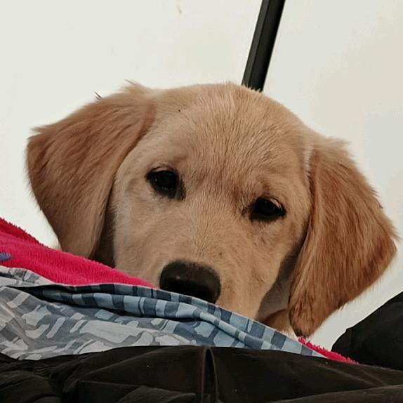 重生之我在吴江摆地摊