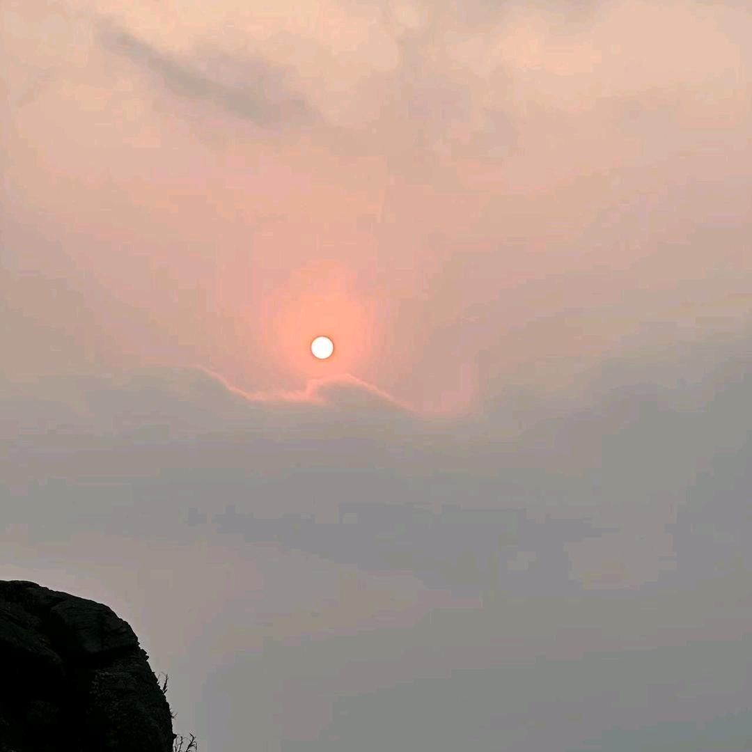 空白🐬