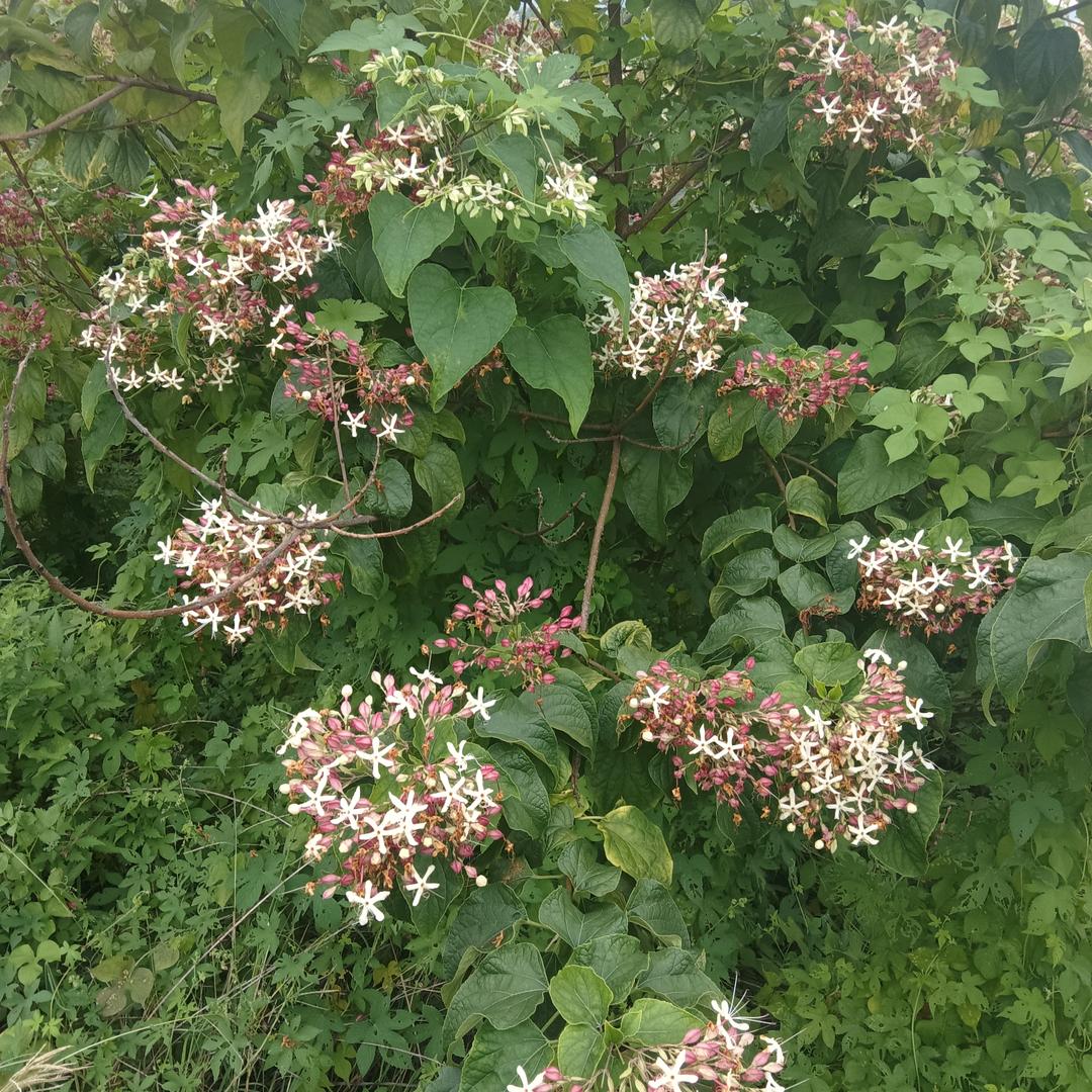 东荆林润腾洗浴中心