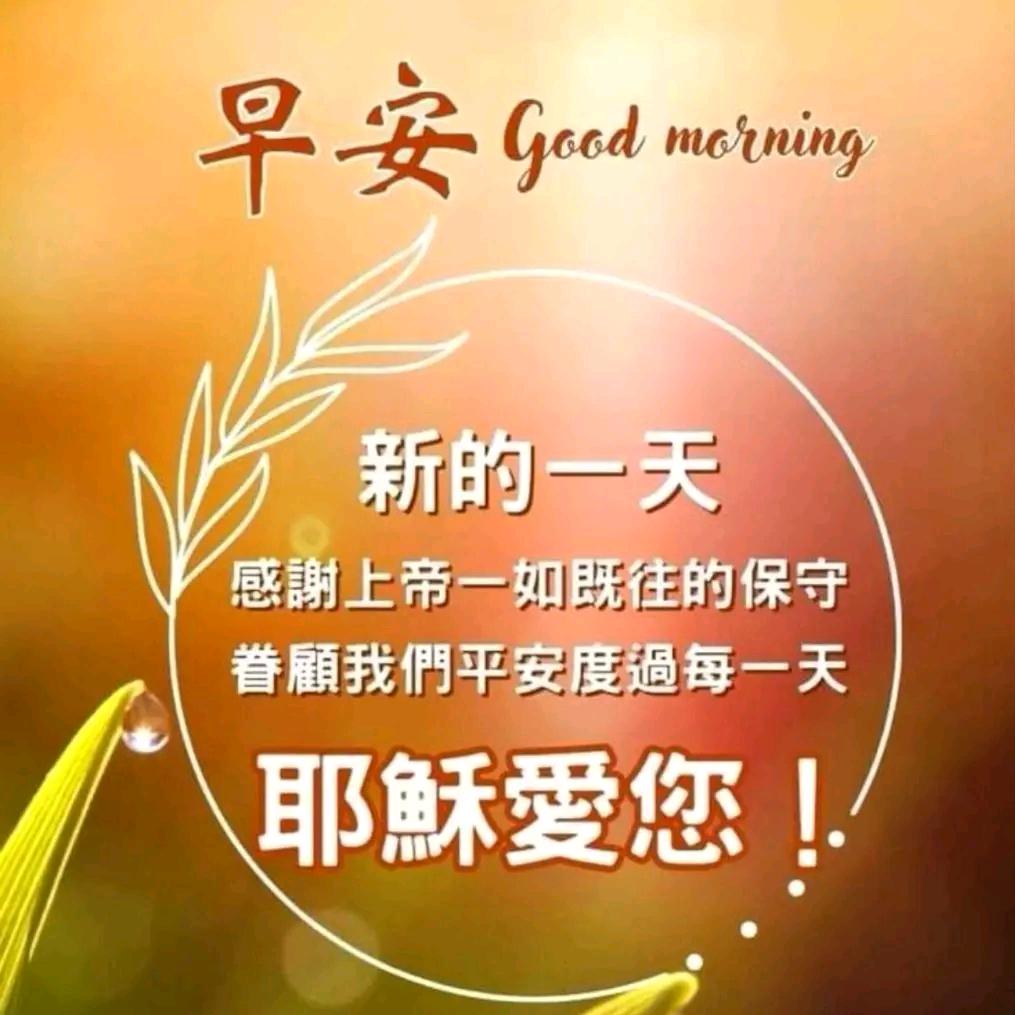 冰清玉洁