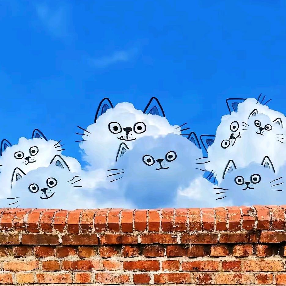 赚赚日常