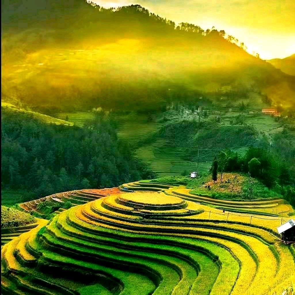 汉哥哥