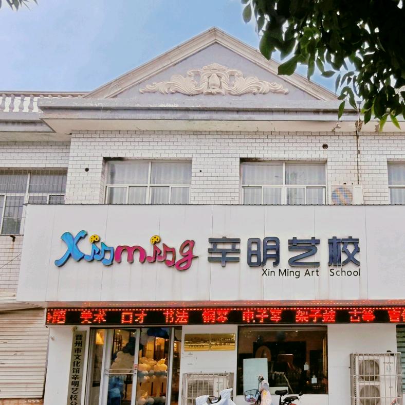 辛明艺校总店店长