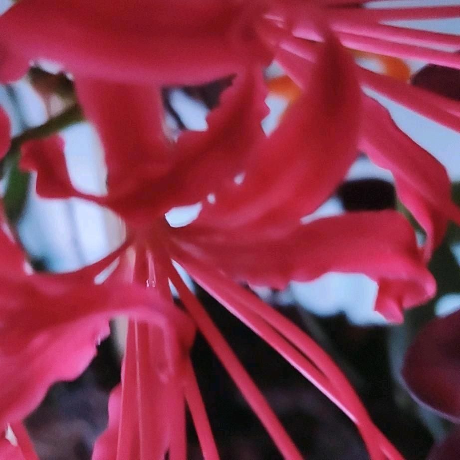春暖花開