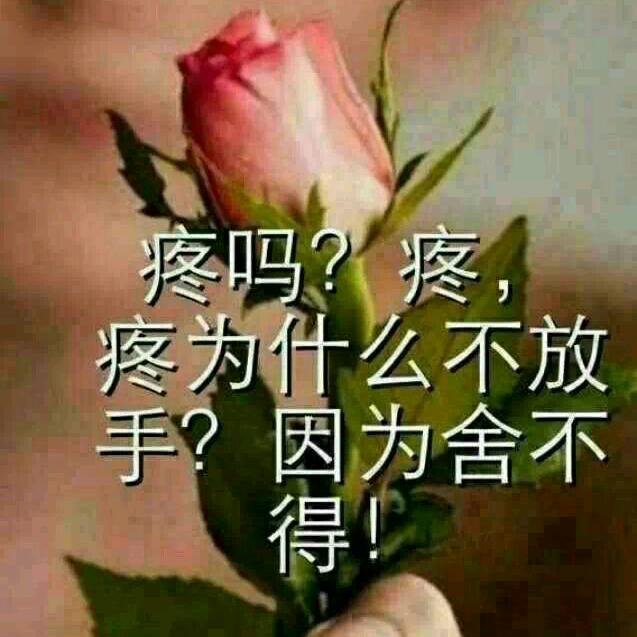 带刺的玫瑰(1112)