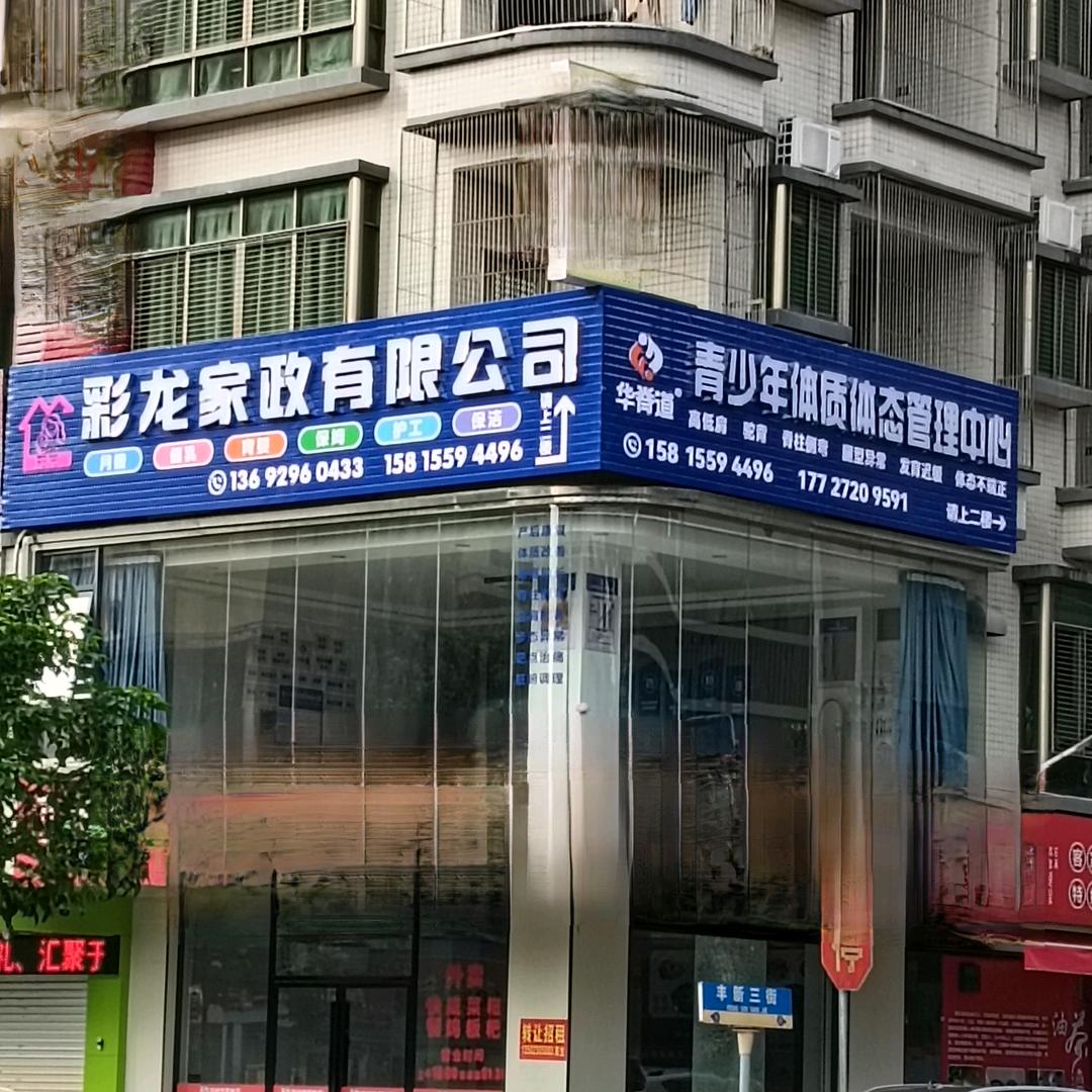 彩龙