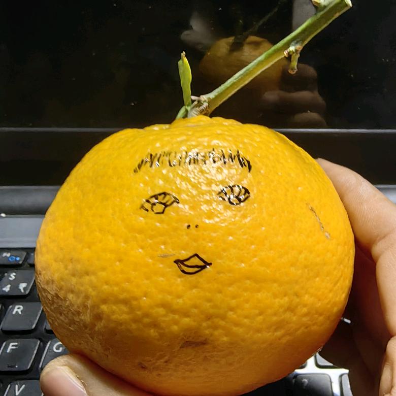 蜜丰生鲜优品