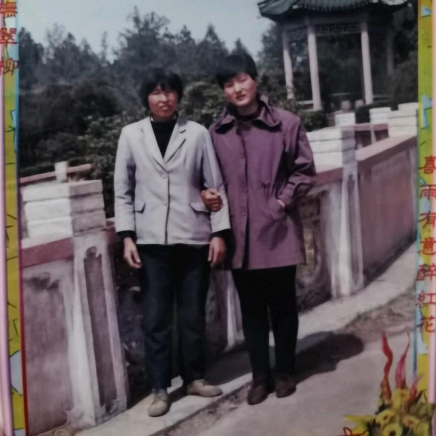 好奇，橱窗有好物