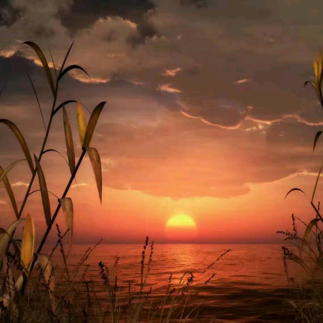 缘分让我们相遇