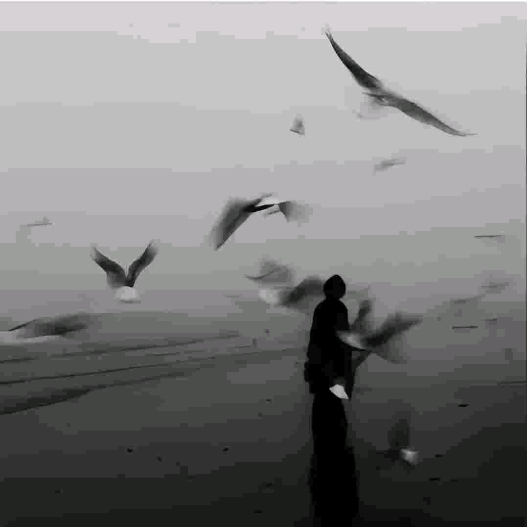 栀花