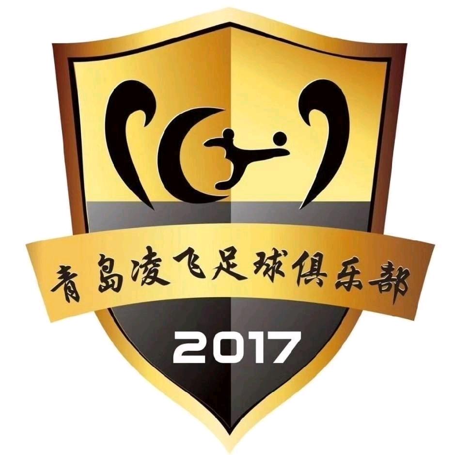 胶州市凌飞足球俱乐部