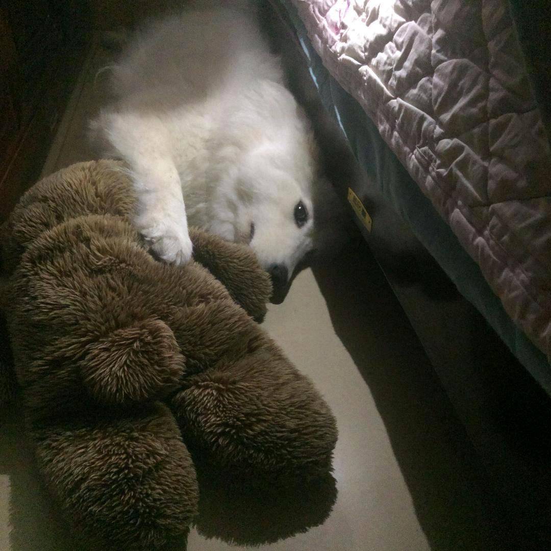 迷雾迷雾