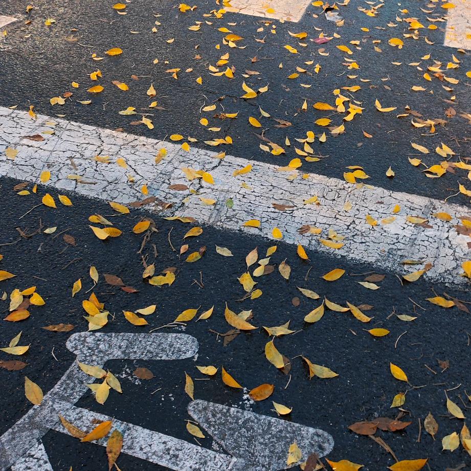 不吃螺蛳粉