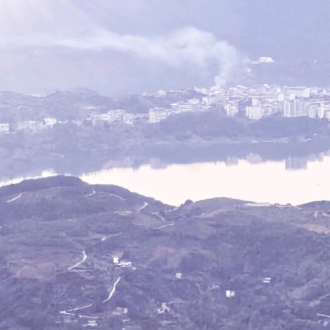 魏家村