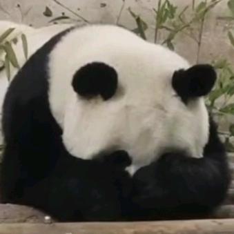 宽宽_