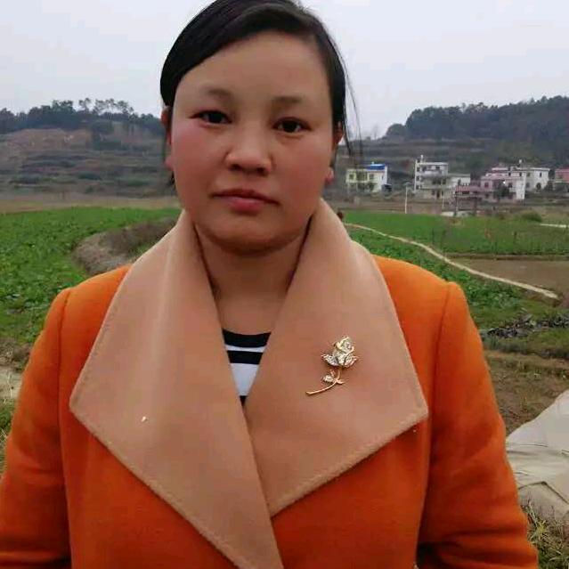 罗子红