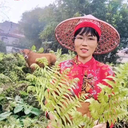 红石榴