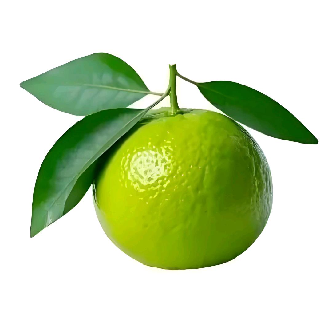 执念🍀🍀