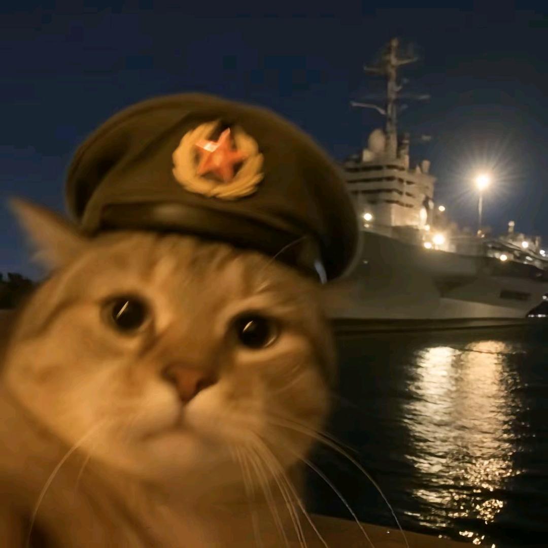 十八岁的派大星