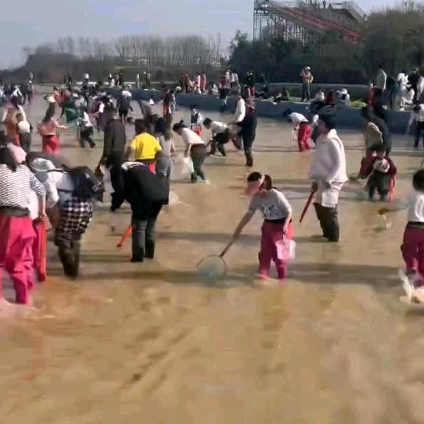 @溪水抓蟹 吃喝自助营地