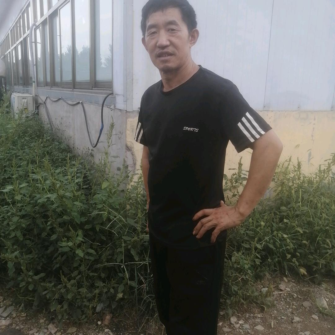 书哥