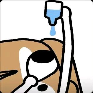 春风入城南