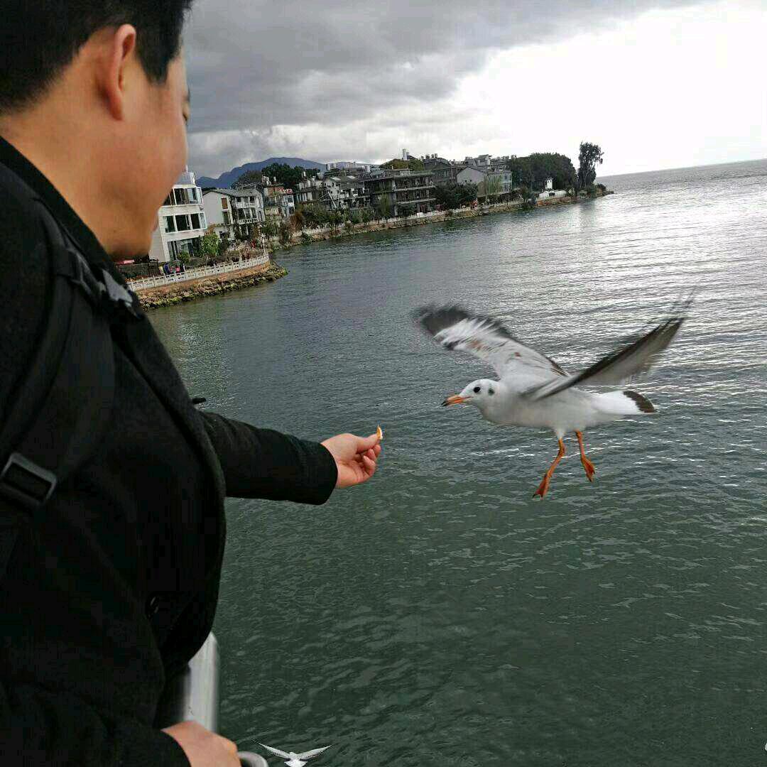 简单