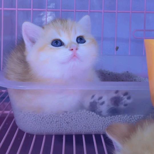 守候☞^з^