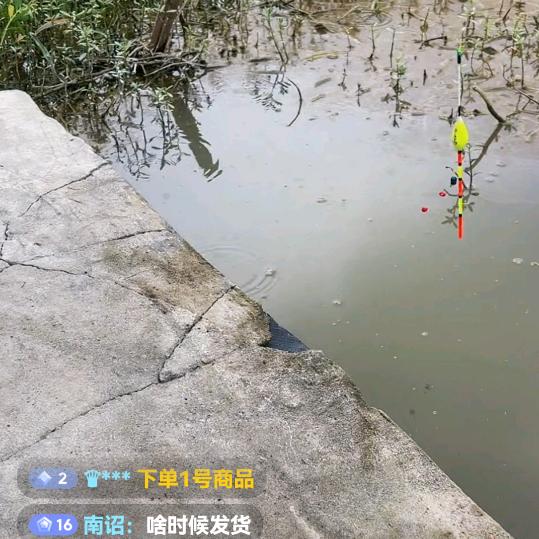 爱你中华
