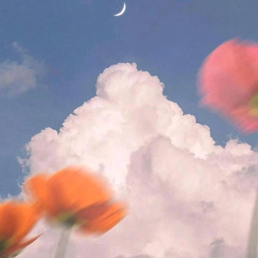 @ ໑ຼₒ₂5ᝰᩚ小小～ᰔᩚ꧔会～❃✨