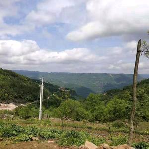 米娜小号的头像