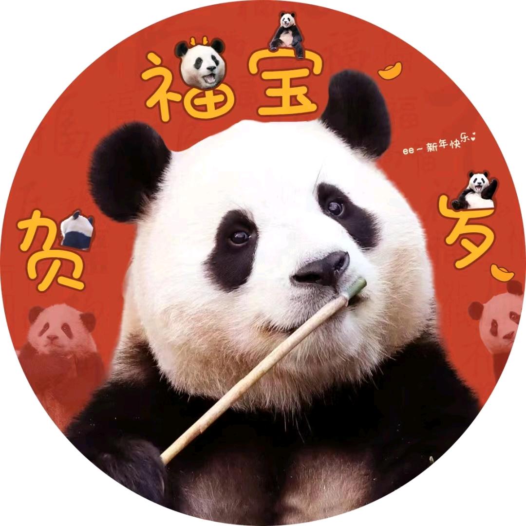 我的心里只有学习头像