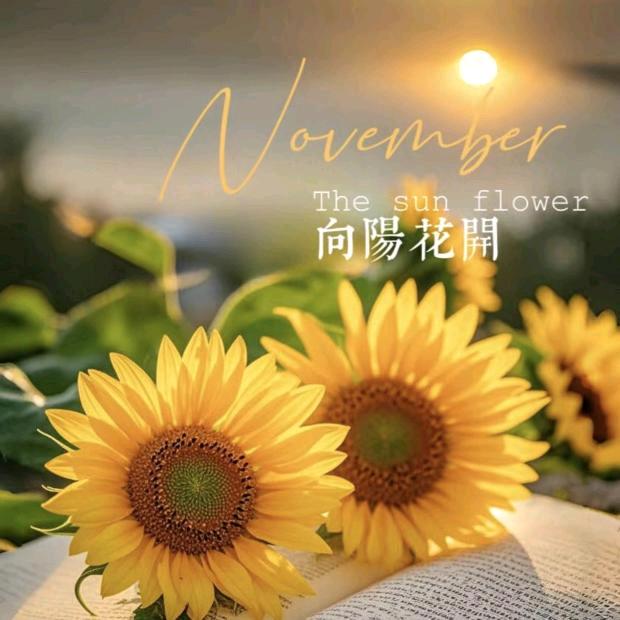 ꧁音🪅悦💖阁꧂