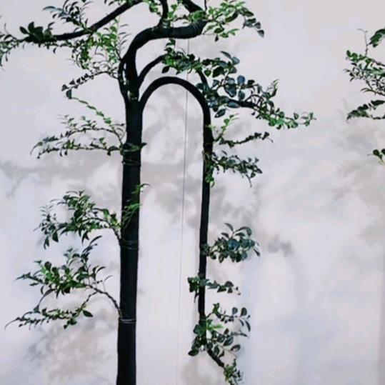 为什么受伤的总是我……久哥