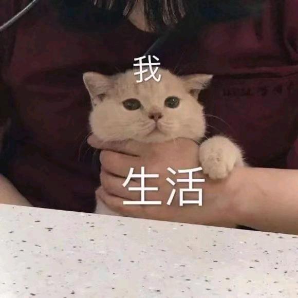 三水