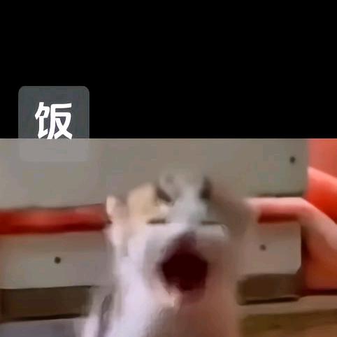 绪柔