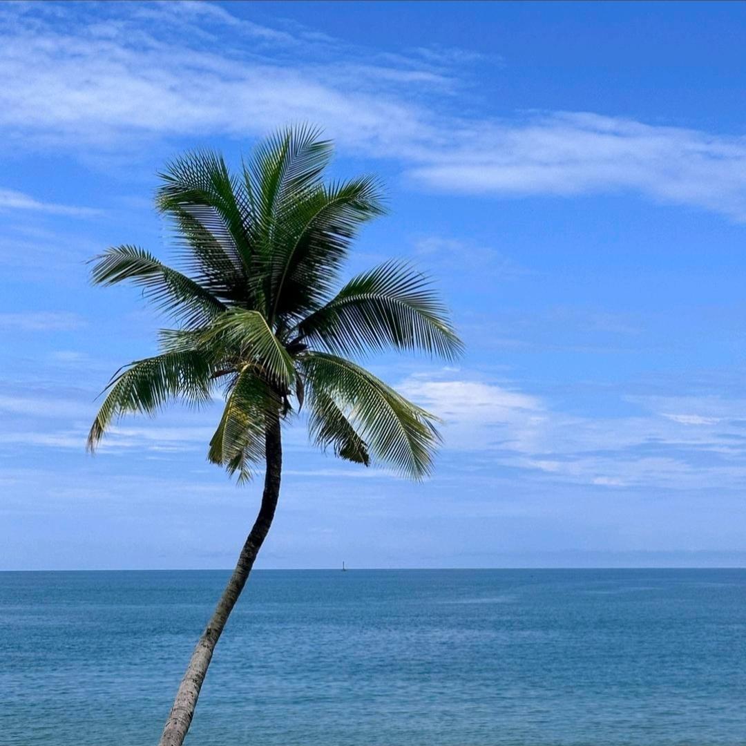 এ᭄人生如梦ꦿ༊