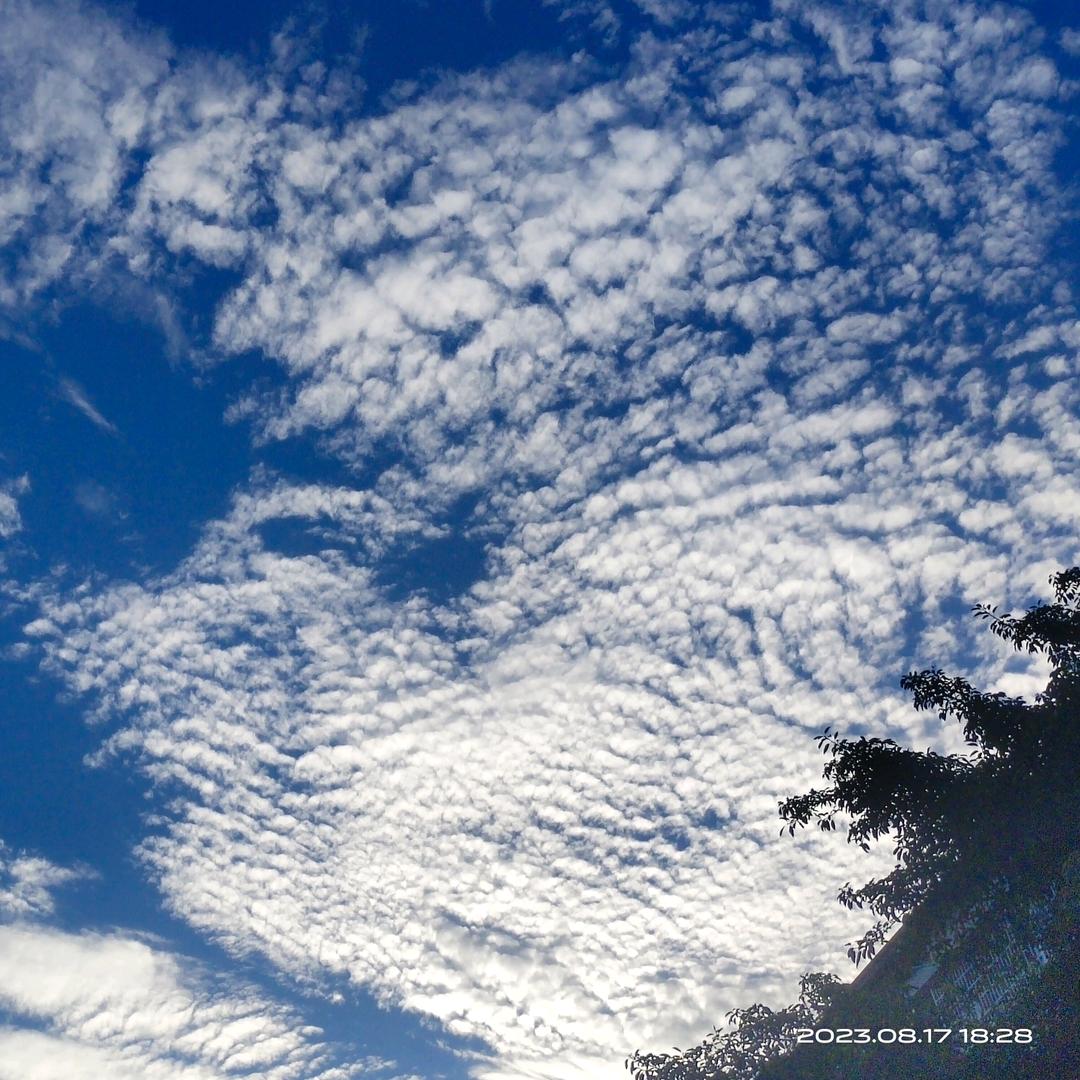 👨‍👩‍👦‍👦初晨✨✨