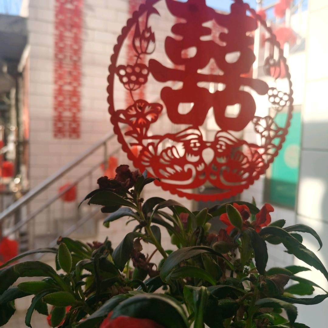 知心大姐(交城，太原周围姻缘牵线)