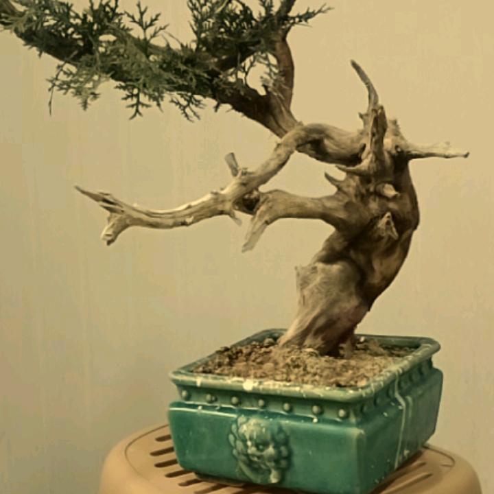 李玄~蒙道坊