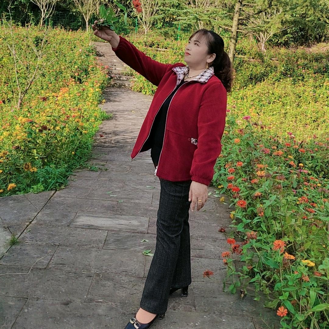 🍎🍎🍎平安喜乐🌺🌺🌺蒲
