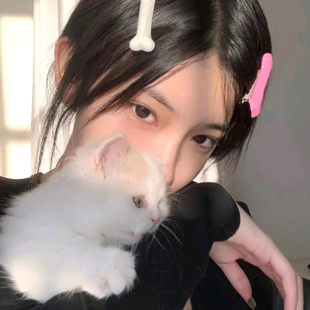 顾乔辞头像